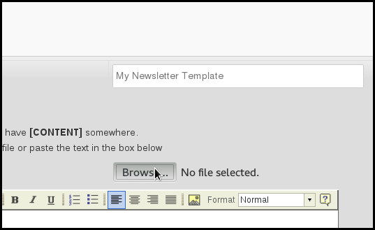 name ￼the template and choose the file to upload
