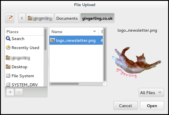 choose logo file
